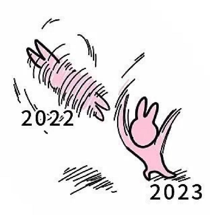 Featured image of post 2022年总结